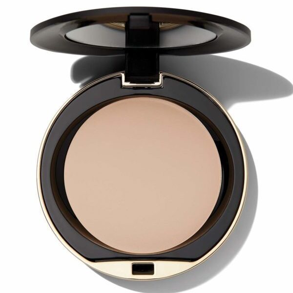 Conceal + Perfect Shine-Proof Powder