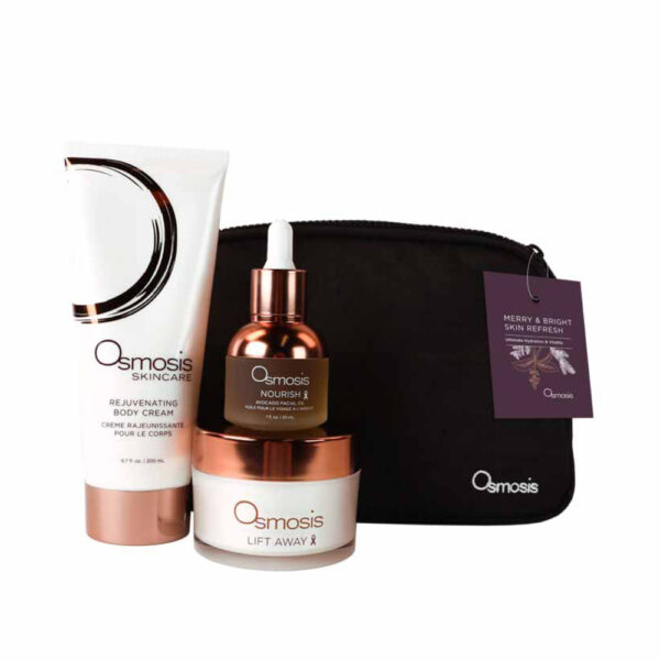 Merry & Bright Skin Refresh Kit